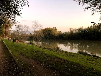 夕暮れ時のイタリア・ピサの風景