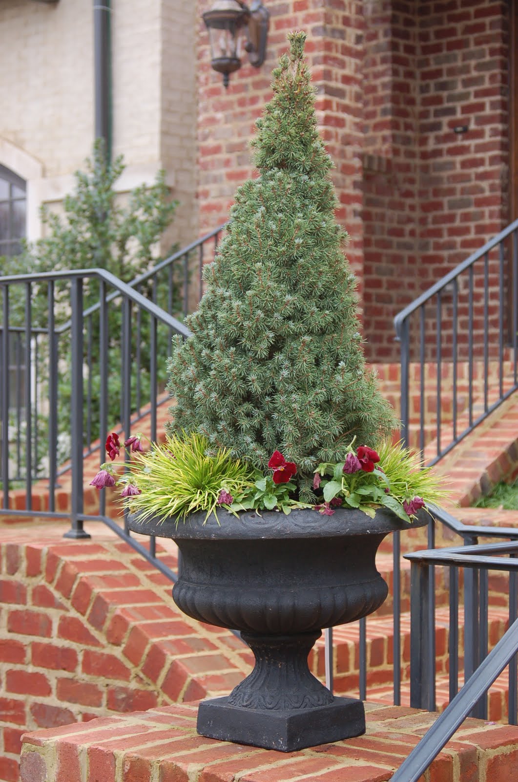 bwisegardening: Day 58 - Christmas Tree Containers