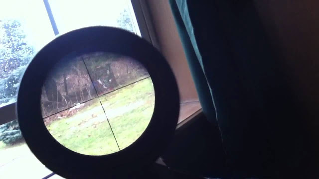 Bird Scope