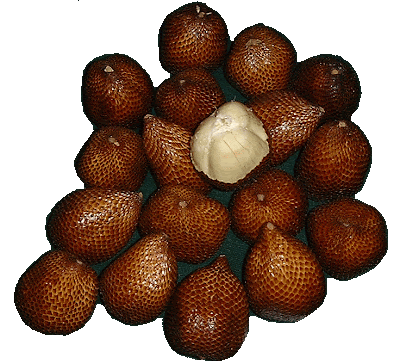 manfaat buah salak