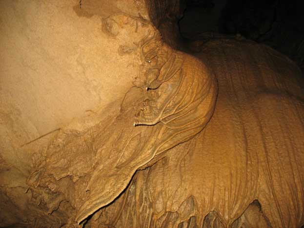 Mammoth Cave National Park