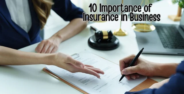 10 Importance of Insurance in Business