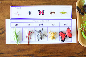 INSECT THEMED PRACTICE WITH ORDINAL NUMBERS