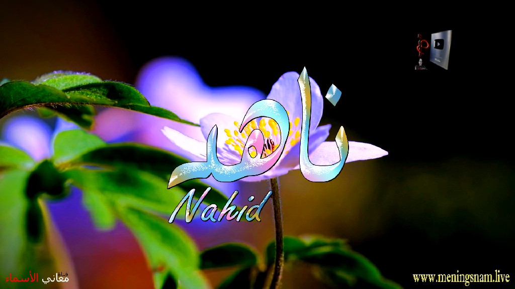 معنى اسم, ناهد, وصفات, حامل, وحاملة, هذا الاسم, Nahid,