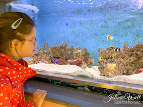 Zee Aquarium Bergen aan Zee Holland tropische Fische