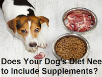 best dog diet natural