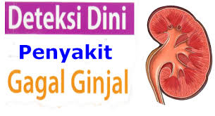 Gejala-Gejala Akibat Dari Batu Ginjal