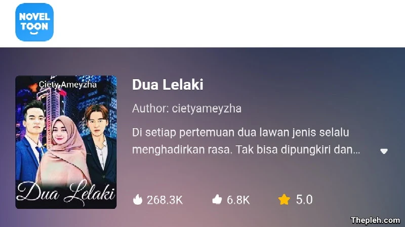 Novel Dua Lelaki Gratis