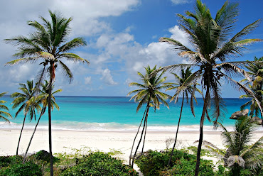 #16 Barbados Island Wallpaper