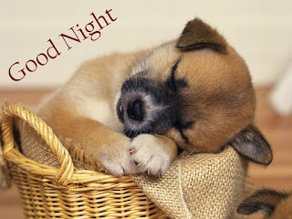 GOOD NIGHT TONIGHT HD DESKTOP WALLPAPER PHOTOS