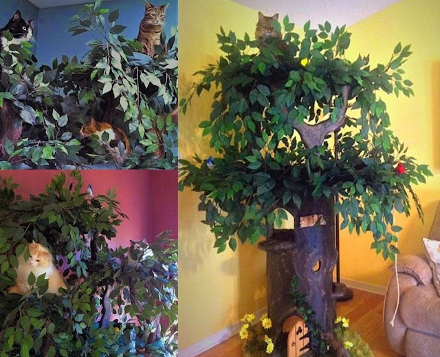 Amazing Cat Tree