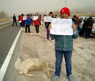 Comentarios sobre la mortandad de animales por el efecto de las cenizas.-