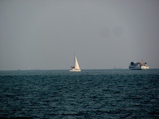 IMG_4874