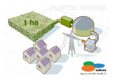 Inderen proyectos de biogas