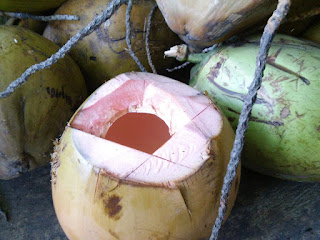 kelapa wulung obati sakit asam lambung