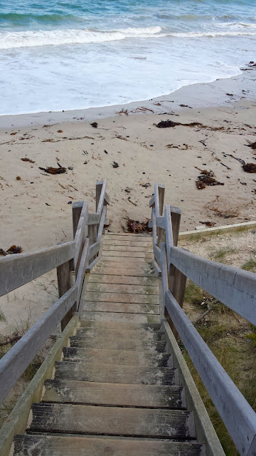 Mushroom Reef Marine Sanctuary