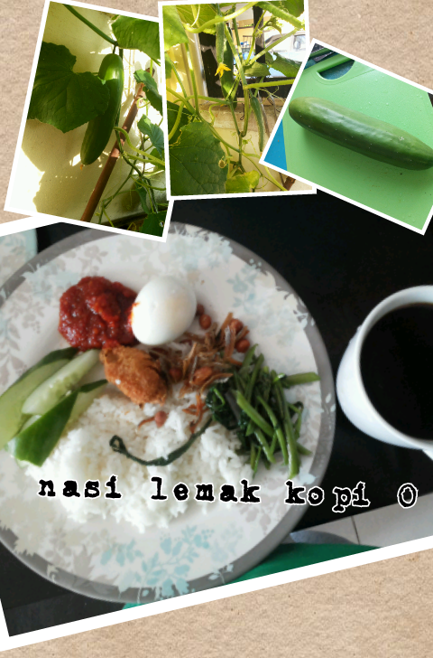 HIJAU DI RUMAH BAHAGIA Nasi  lemak  kopi  O