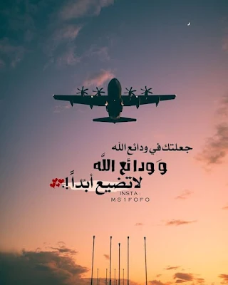 صور سفر