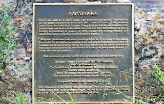 Sacajawea info in salmon