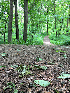 June 16, 2019 Enjoying a walk down to the river.