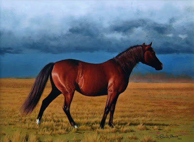 caballo pintura dibujo