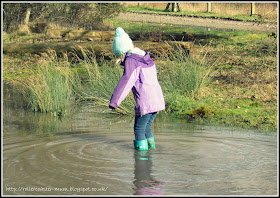 Very deep puddle - almost over wellies