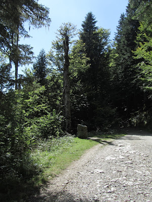 Casas de Irati - SL-NA-62A - Cascada del Cubo - Parque Nacional de Irati - Navarra 