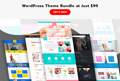 WordPress Theme Bundle