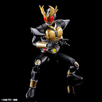 Bandai Masked Rider Agito Ground Form English Color Guide & Paint Conversion Chart