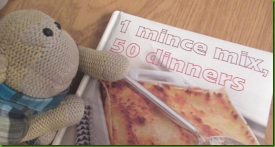 1 mince mix 50 dinners