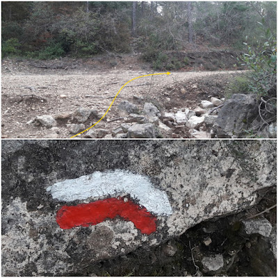 GR-7 ARBOLÍ A MONTRAL, camí en direcció a la carretera T-704 i Mas dels Frares