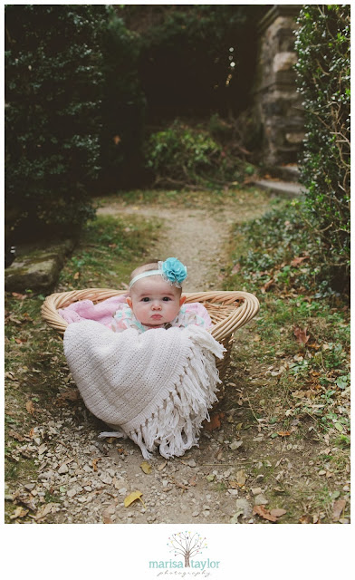 family sessions, marisa taylor photography, family photographer, ridley creek state park, 