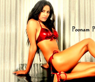 poonam pandey of poonam pandey poonam pandey hot images