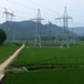 View album