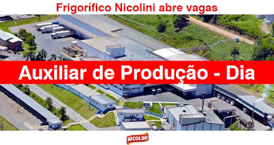 Frigorífico Nicolini abre vagas para auxiliar de Produção em Triunfo