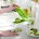 Jual Alat Masak