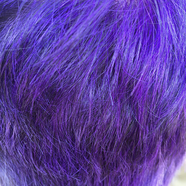 The colour project, purple hair