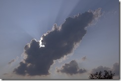 DSC_1641_edited