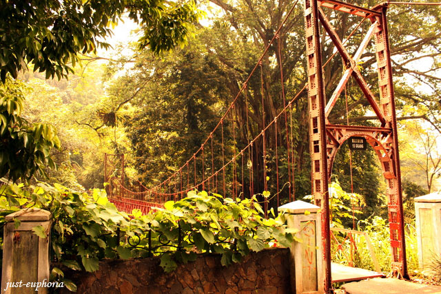 red bridge at kebun raya bogor