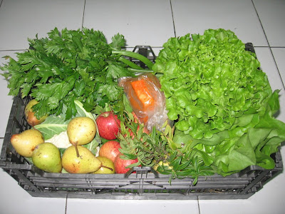 Cabaz de frutas e legumes: PROVE