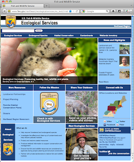 Snapshot of Ecological Services website