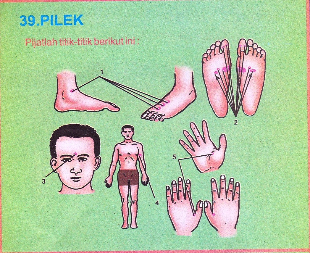 Pijat Refleksi Pilek  indomangga.web.id