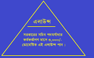 সরকারের সচিব পদমর্যাদার কর্মকর্তাগণ মাসে ৩,০০০/- ডোমেস্টিক এই এলাউন্স পান । Domestic Aid Allowance upto 3000 taka