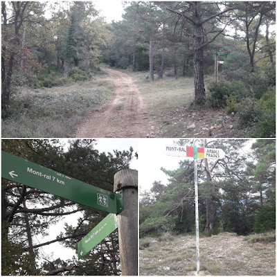 GR-7 ARBOLÍ A MONTRAL, camí al Bosc de l'Abelló al terme de Vilaplana - Baix Camp - Tarragona