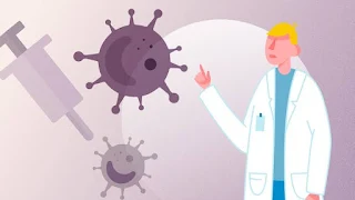 How does your immune system fight disease?