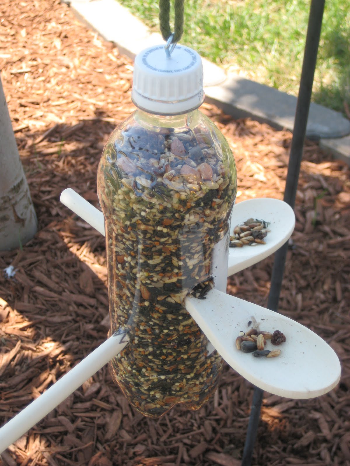 Relentlessly Fun, Deceptively Educational: Bird Feeder and ...