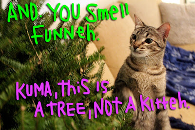 cat-christmas-tree-03