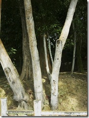 P1130967