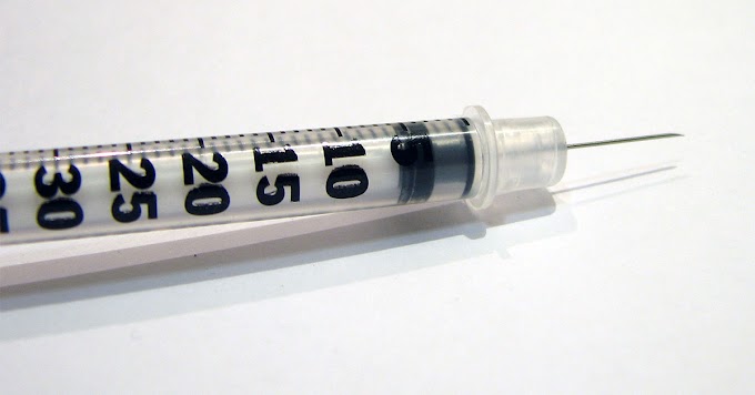 History of Insulin Preparations
