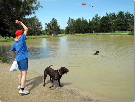 doggiepark05-30-11i